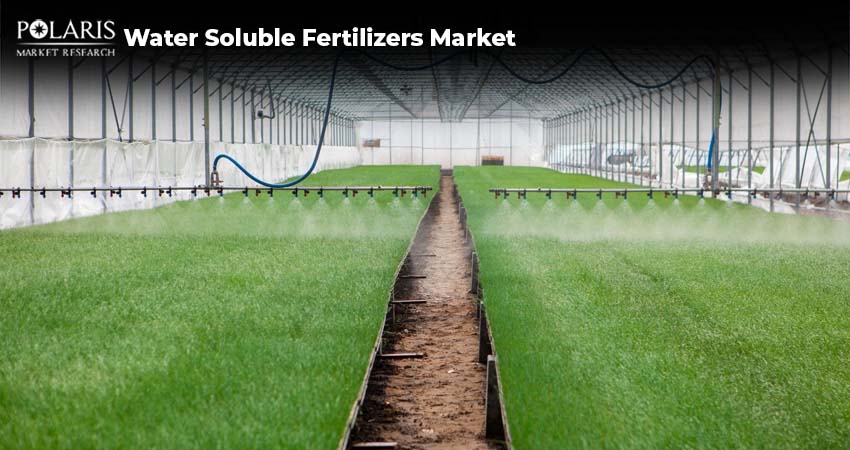 Top 10 Firms in the Water-Soluble Fertilizers Market in 2025